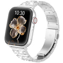 Correa Starry Sky para Apple Watch