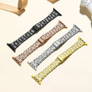 Correa Starry Sky para Apple Watch